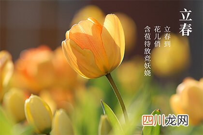 立春节气有什么禁忌不能做什么？立春时间是怎么计算的？