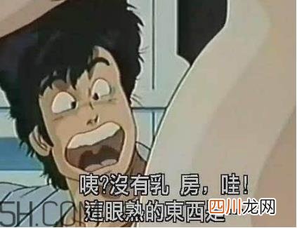 cd是什么意思：女人说她是cd和女生说ts是什么意思