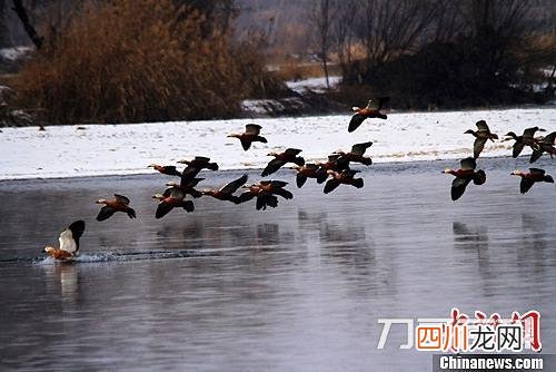 七九一起二在上 猜一数字 七九一起二在上 打一数字?