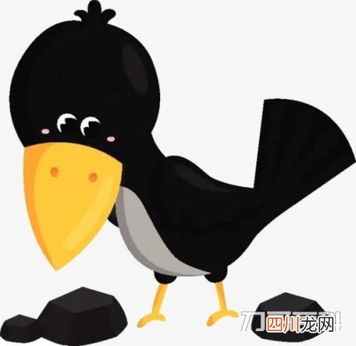 可以吃乌鸦肉吗？ 乌鸦肉能吃吗