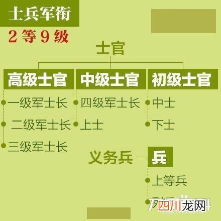 什么样的级别是两杠四星星？ 两杠四星是什么级别