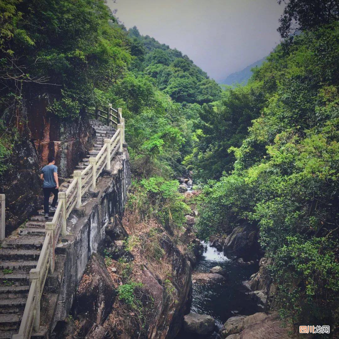 深圳去东莞最快路线 深圳到东莞多久