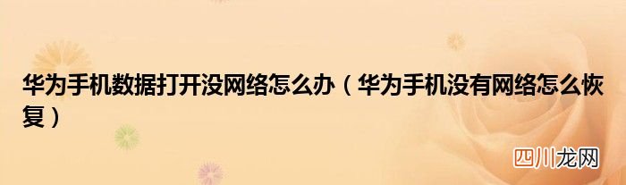 华为手机没有网络怎么恢复 华为手机数据打开没网络怎么办