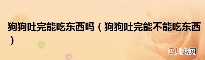 狗狗吐完能不能吃东西 狗狗吐完能吃东西吗
