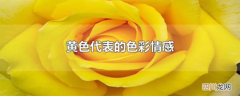 黄色代表的色彩情感