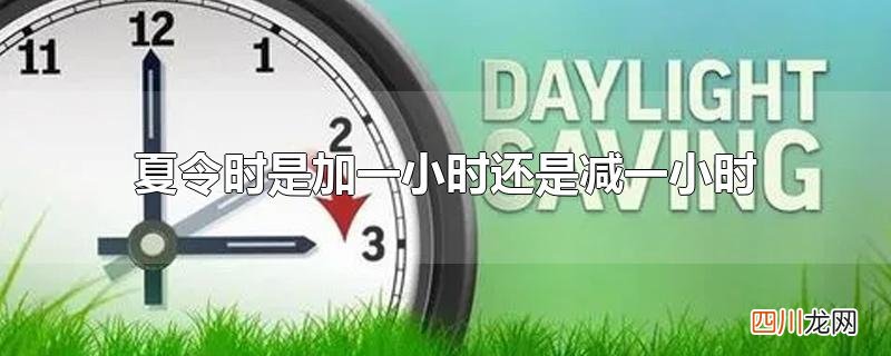 夏令时是加一小时还是减一小时