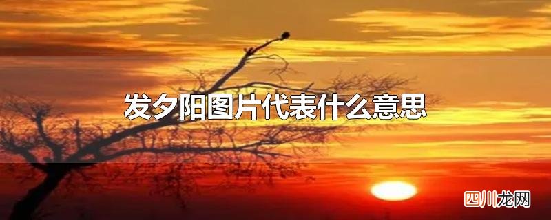 发夕阳图片代表什么意思