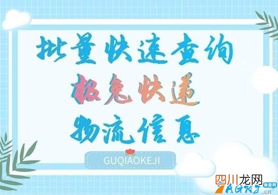 极兔快递单号查询自动查询系统网 极兔快递单号查询自动查询快递单号查询