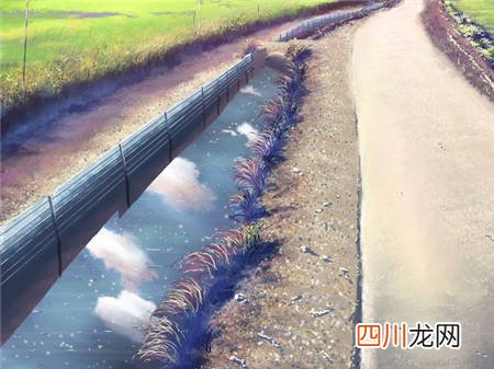 如果人生可以选择的句子 如果可以再选择一次说说