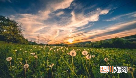2022深圳6月热还是7月热