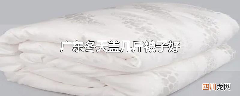广东冬天盖几斤被子好