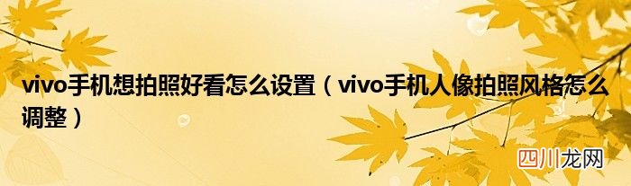 vivo手机人像拍照风格怎么调整 vivo手机想拍照好看怎么设置