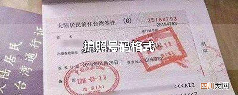 护照号码格式