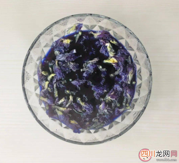 蝶豆花水加什么会变色 蝶豆花能食用吗