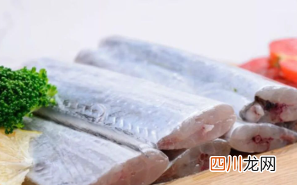 带鱼什么品种好吃