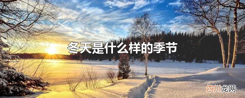 冬天是什么样的季节