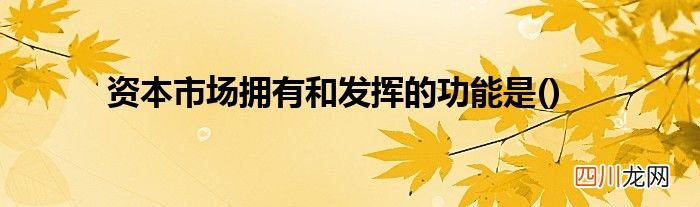 资本市场拥有和发挥的功能是
