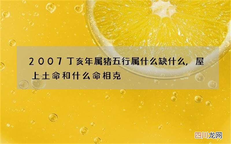 2007丁亥年属猪五行属什么缺什么,屋上土命和什么命相克