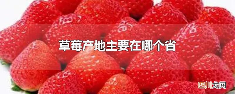 草莓产地主要在哪个省