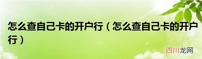 怎么查自己卡的开户行 怎么查自己卡的开户行