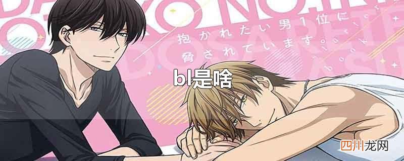 bl是啥