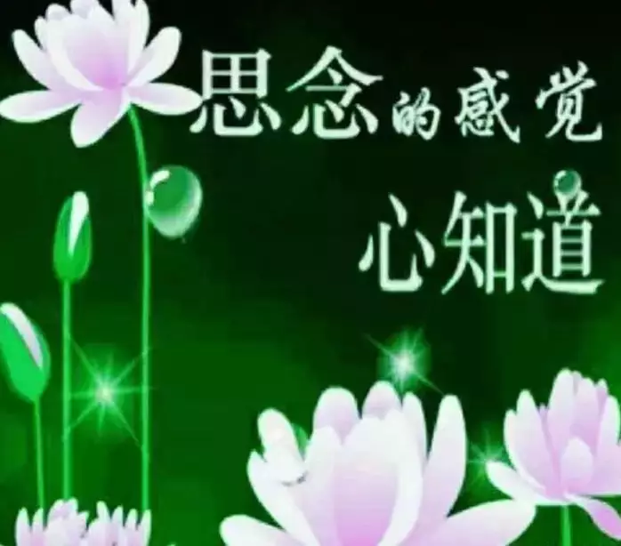 新年最火的一句话 2018年经典语录流行句子