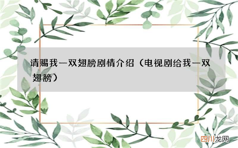 电视剧给我一双翅膀 请赐我一双翅膀剧情介绍