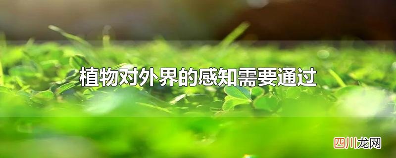 植物对外界的感知需要通过