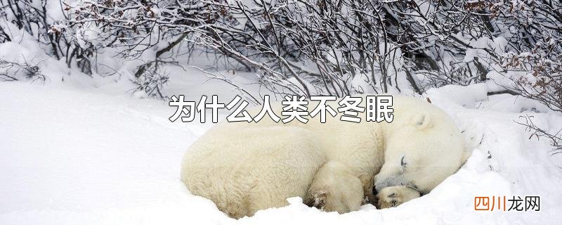 为什么人类不冬眠