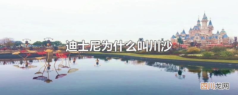 迪士尼为什么叫川沙