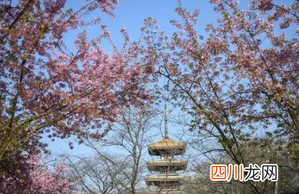2022武汉清明前后冷不冷