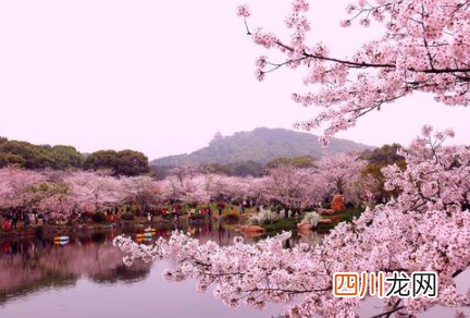 2022武汉清明节下雨吗