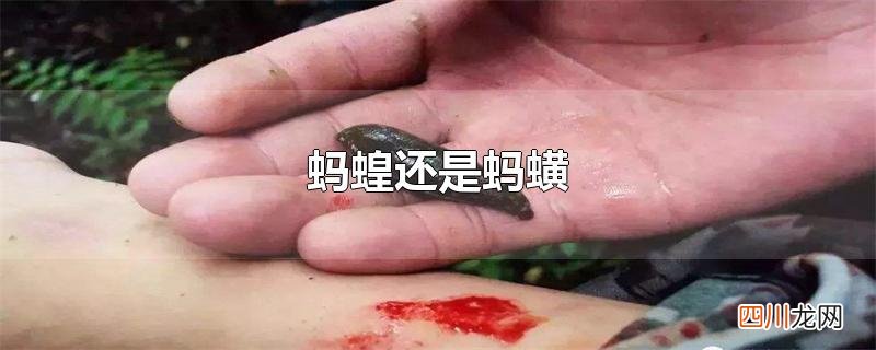 蚂蝗还是蚂蟥