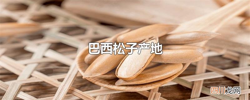 巴西松子产地