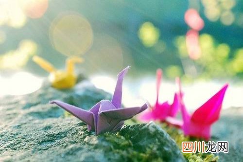 vim下一页:一句话让别人关注你