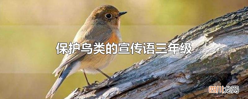 保护鸟类的宣传语三年级