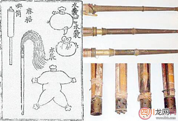 故宫里第一支专业消防队是谁组建的 蚂蚁庄园2月26日答案介绍