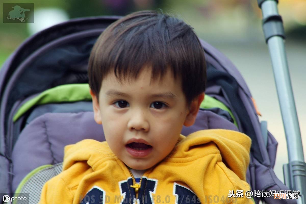 抗议的反义词 诚实的反义词是什么