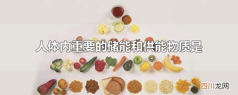 人体内重要的储能和供能物质是