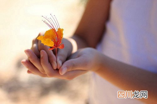 uc下一页:让人感受到心灵美好的句子