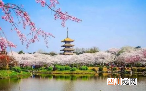 武汉东湖樱园要不要门票