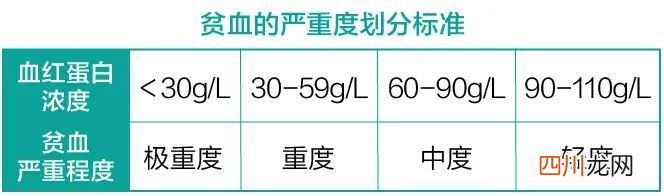 贫血吃什么最补血？要先搞清楚是什么贫血类型再补 贫血吃什么最好最快的补血