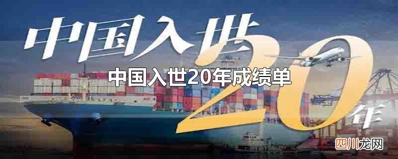 中国入世20年成绩单