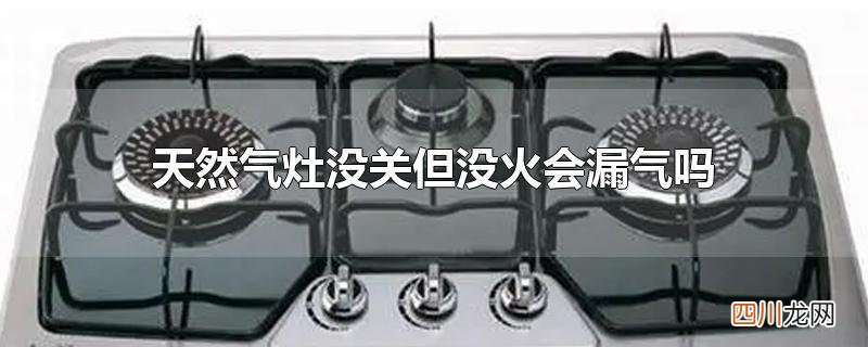 天然气灶没关但没火会漏气吗