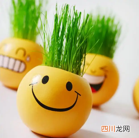 草头娃娃什么季节种