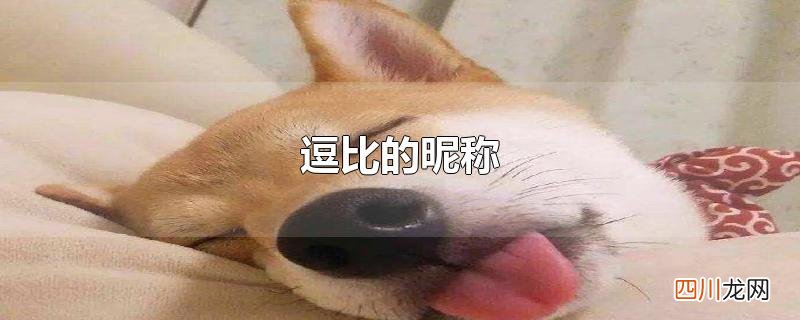 逗比的昵称