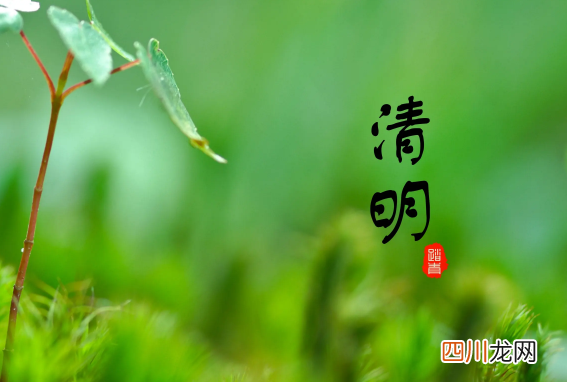 2022清明节2号补周几的课