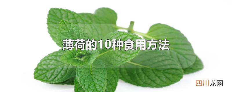 薄荷的10种食用方法