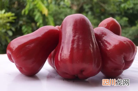 莲雾和苹果可以一起榨汁吗