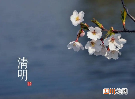 清明节先上坟还是在家祭拜